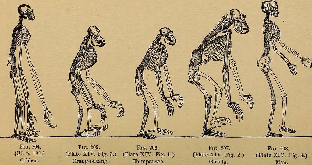 The Evolution of Bourbon Taste Over Time