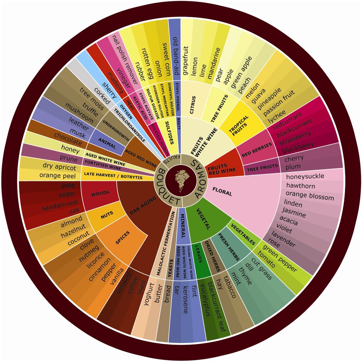 Navigating the Nuances: A Deep Dive into the Whiskey Flavor Wheel