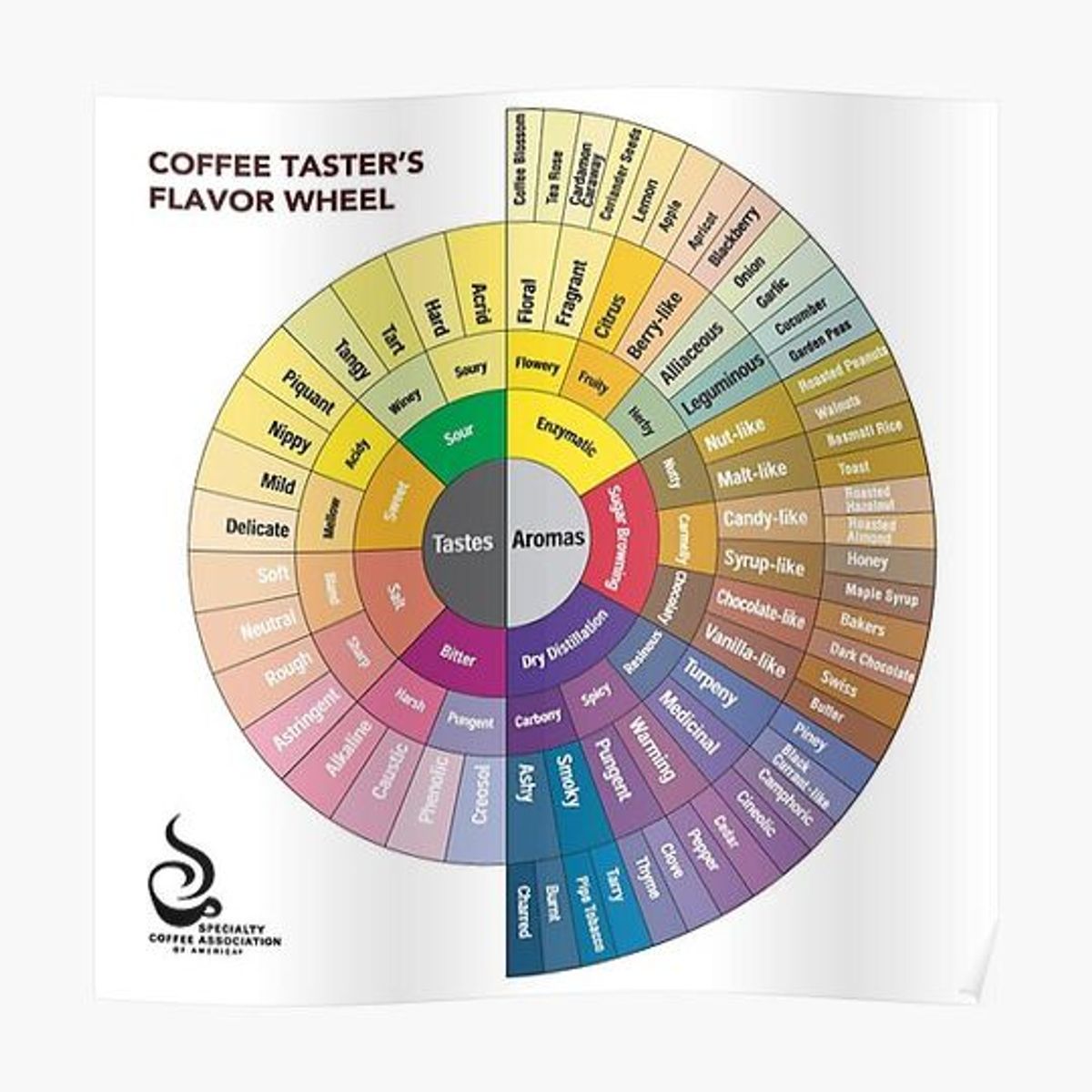 Exploring the Different Tastes: A Guide to the Whiskey Flavor Wheel